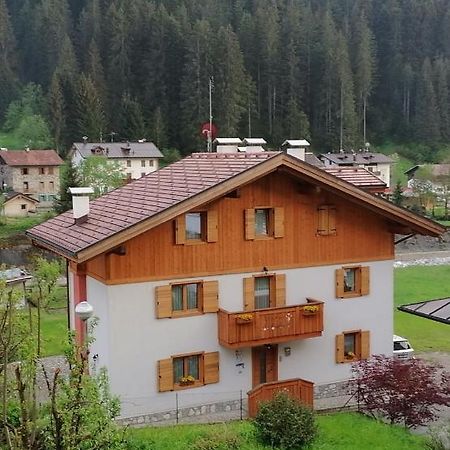B&B Il Tulipano San Pietro di Cadore Exterior photo