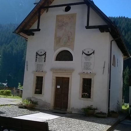 B&B Il Tulipano San Pietro di Cadore Exterior photo