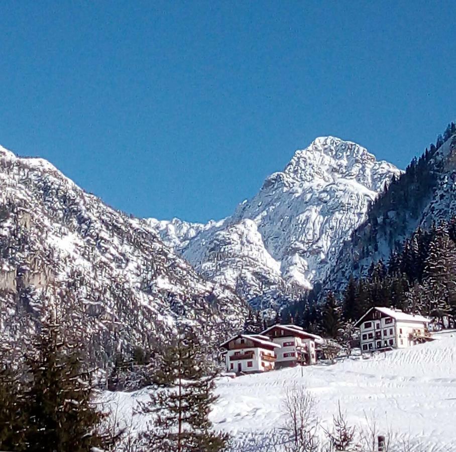 B&B Il Tulipano San Pietro di Cadore Exterior photo