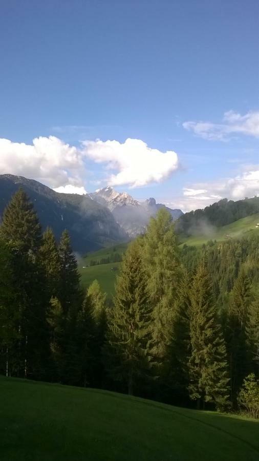 B&B Il Tulipano San Pietro di Cadore Exterior photo